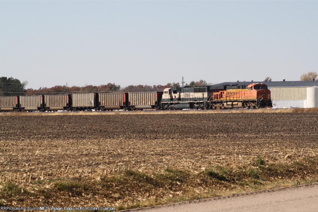 BNSF 6081 & 9823 west